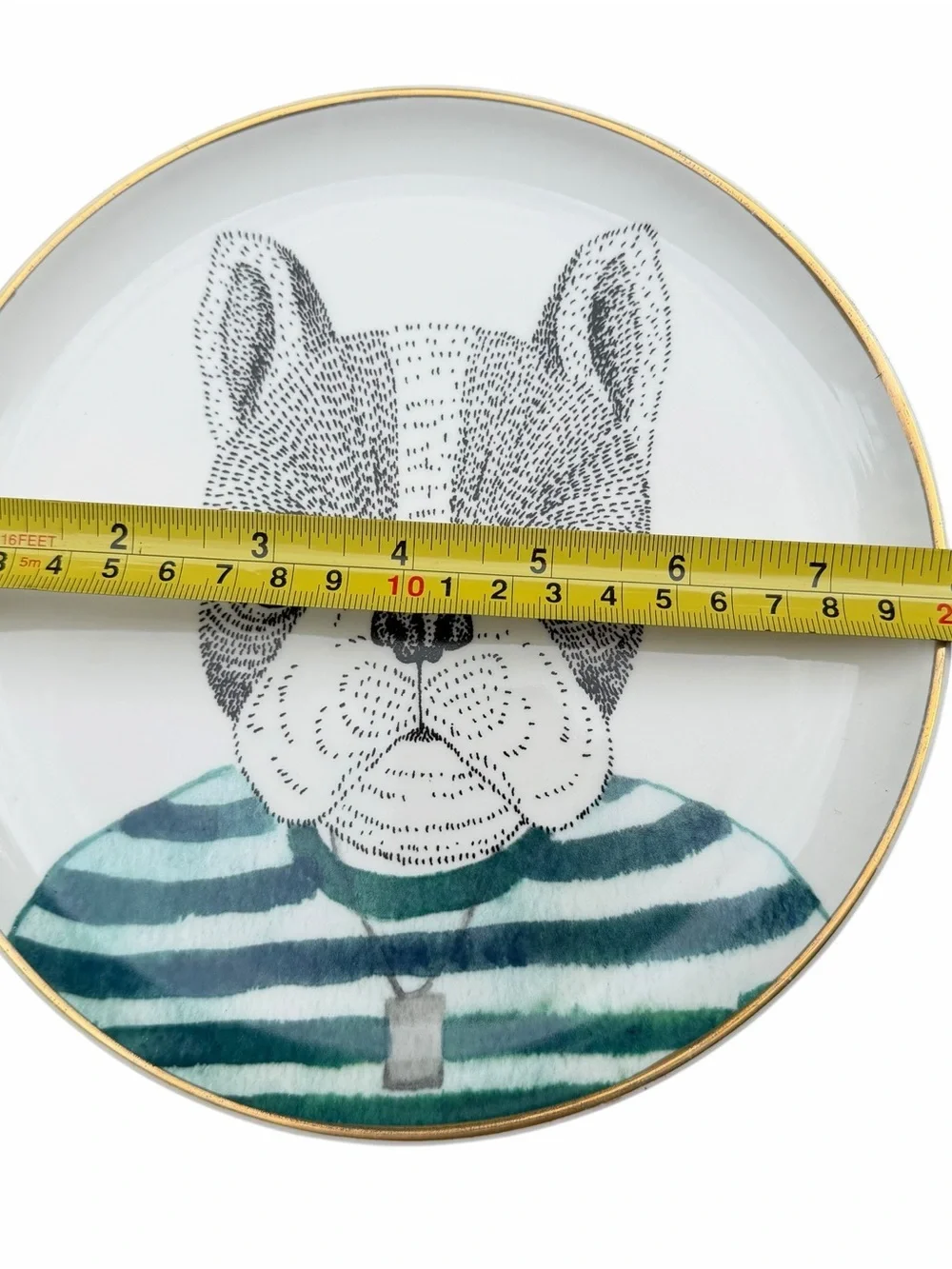 Pier 1 Imports Animal Portrait Plates Set of 3 Dog Owl Giraffe Gold Rim 8”